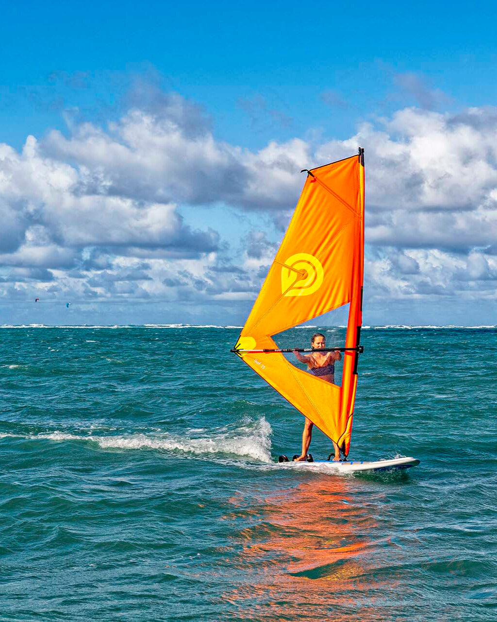 Voile - planche à voile N° 145 MK3010 Voile - planche à voile N° 145 MK3010